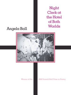 cover image of Night Clerk at the Hotel of Both Worlds